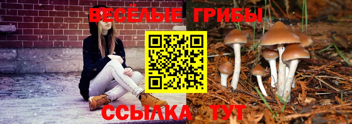где найти наркотики  Вход с VPN  Клинцы  Галлюциногенные грибы Psilocybine cubensis  Галлюциногенные грибы ЛСД 